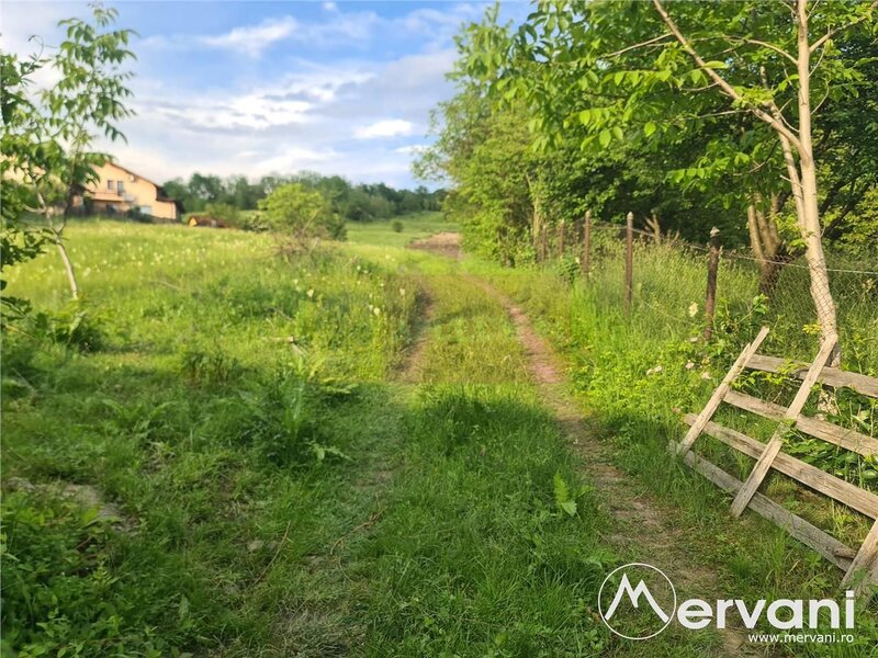 Teren intravilan de vanzare in Campina - Zona Muscel