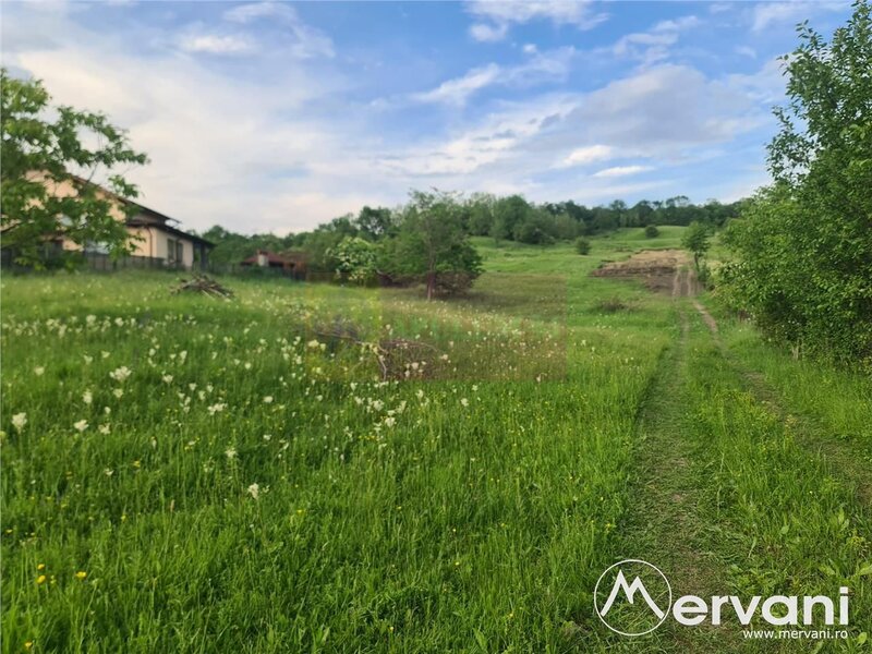 Teren intravilan de vanzare in Campina - Zona Muscel